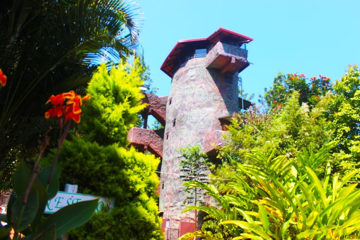 Jungle Studio
