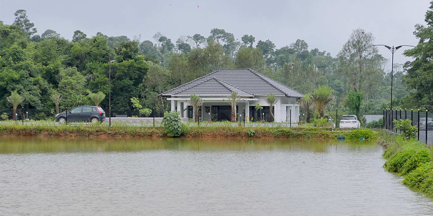 Jungle Lake Resort Property